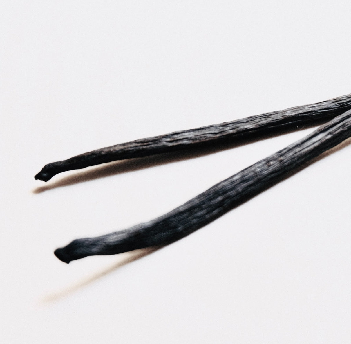 Protein Powder Vanilla