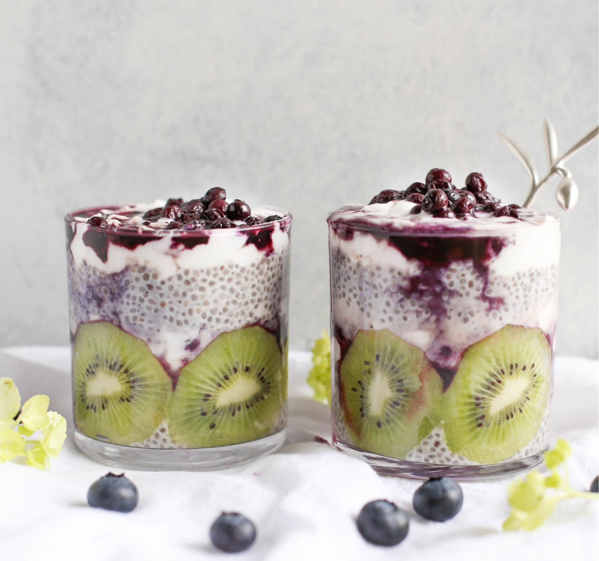 Viktual+ Chia Seed Protein Pudding